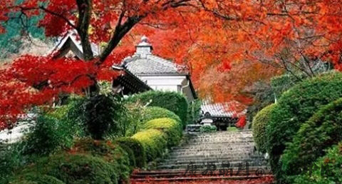 霜降是什么意思