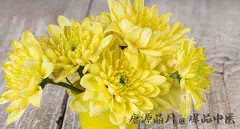 重阳节在几月几日