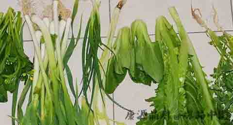 大年初七为什么要吃七样菜