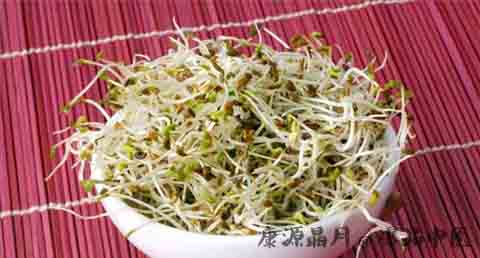 冬至养生最适合吃的蔬菜