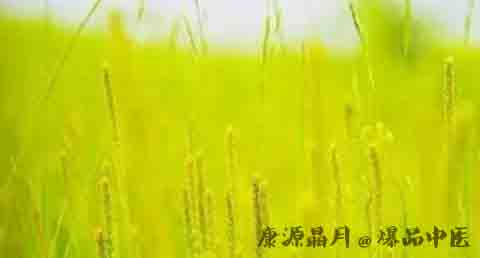 小满节气的意思