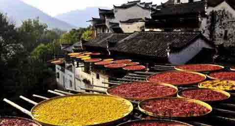 北方人立秋吃什么