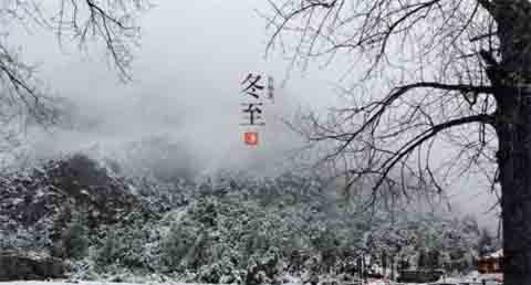 冬至为什么要狗肉