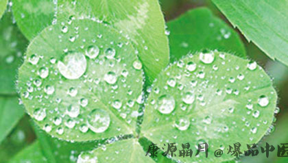 梅雨来了 如何防病防湿防霉