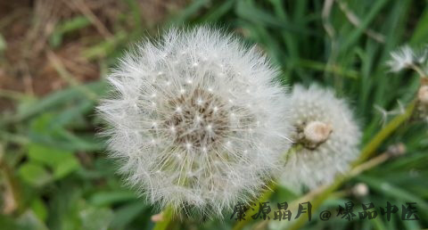 小满吃什么