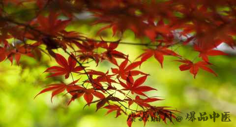 立秋养生误区有哪些