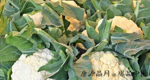 中秋节菜谱大全
