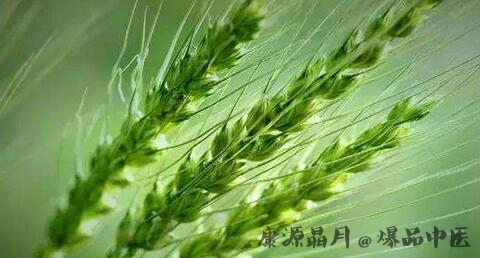 小满节气的介绍