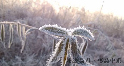 霜降节的意思