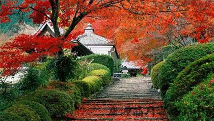 重阳节又称什么节