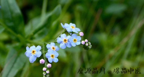 夏至节气是什么意思