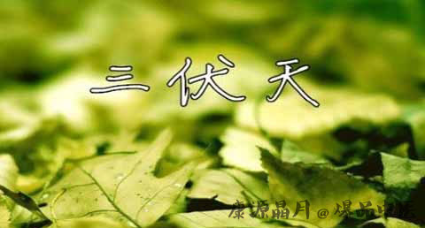 三伏天养生汤有哪些