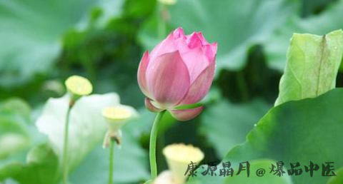 小满节气养生原则