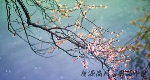 51劳动节的意义