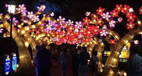 猜灯谜是怎么来的