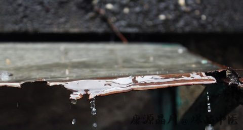 雨水节气的特点