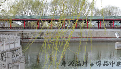 清明节的由来和习俗
