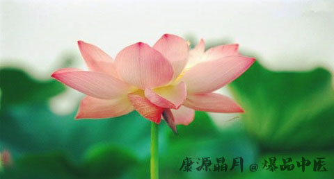 三伏天如何治风湿