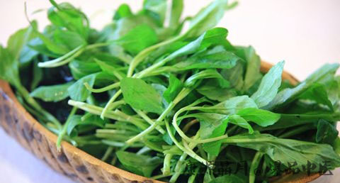 清明节吃的野菜