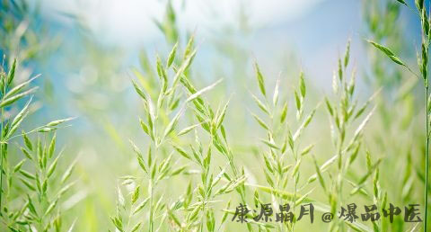 端午节的习俗