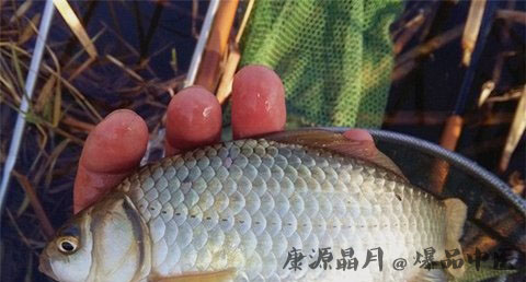 大雪节气钓鱼技巧