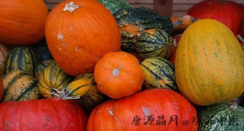 立秋应该吃什么食物好
