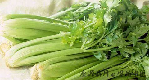 春节养生汤的做法