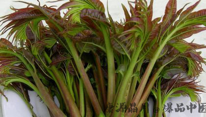 春分节气养生吃什么蔬菜