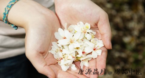 腊八生日属于什么星座