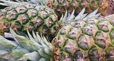 大暑下雨好不好