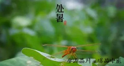 处暑由来