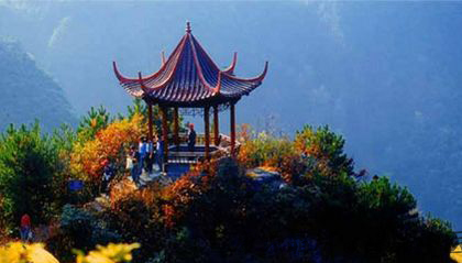 重阳节是什么节 教你来历及习俗