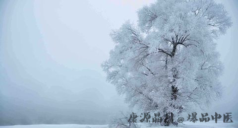 关于立冬的知识