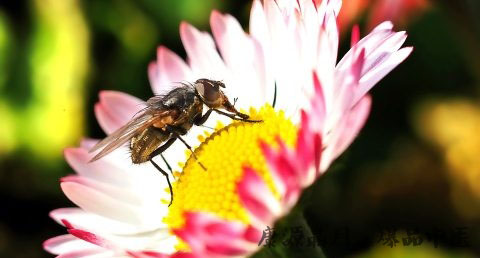 立春后天气还会冷吗 立春后天气还会冷吗