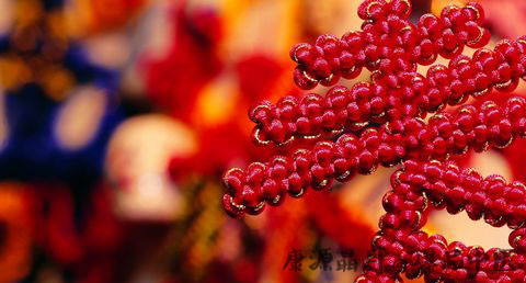 春节从什么时候开始_春节哪天开始哪天结束