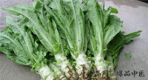 夏至养生蔬菜有哪些