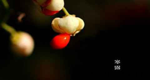 寒露节气可以艾灸吗