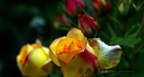 2017年立春是什么时候