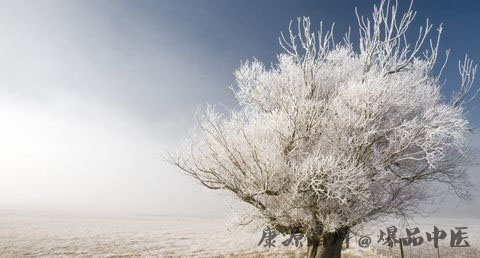 小雪节气怎么养生