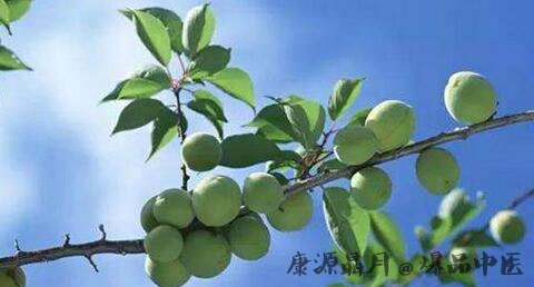 立夏吃什么