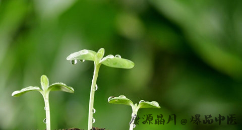 小暑什么意思