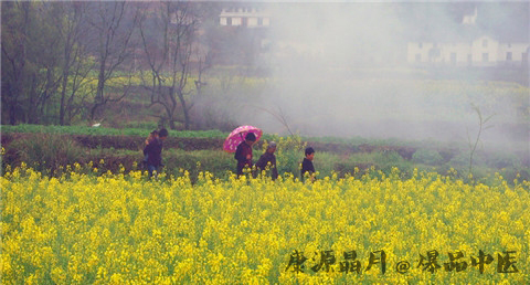 年初二是什么时候 年初二是什么时候