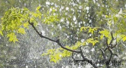 雨水节气的气候特点