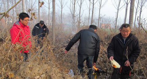 大年初一上坟_大年初一扫墓