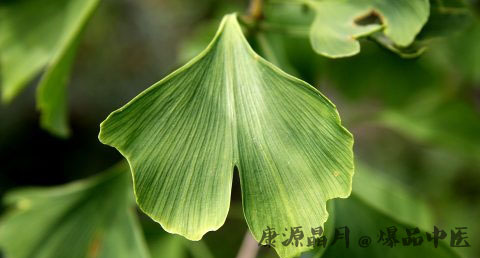 立春节气的特点
