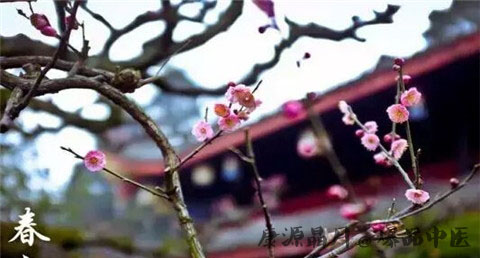春分是哪一天