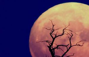 除夕为什么没有月亮