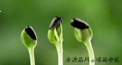 上一次闰六月是哪一年