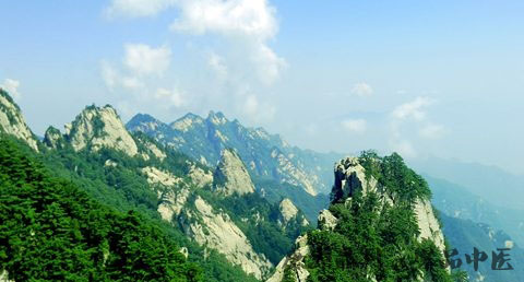 大年初七吃什么