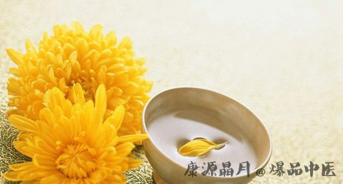 重阳节能干什么